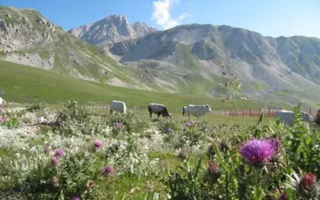 Casa Carolina Santa Maria