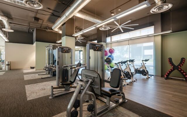 Stay Alfred on 16th Street