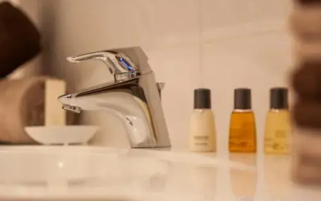 Premium Fewo Lachmöwe