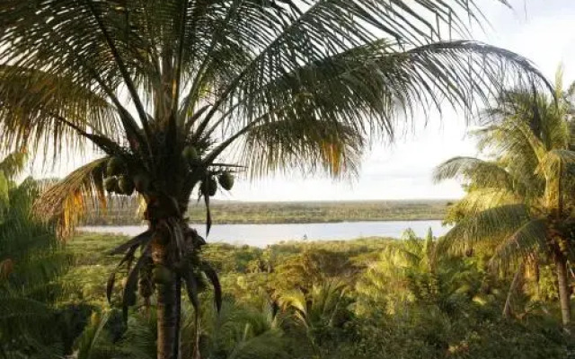 Art Jungle Eco Lodge