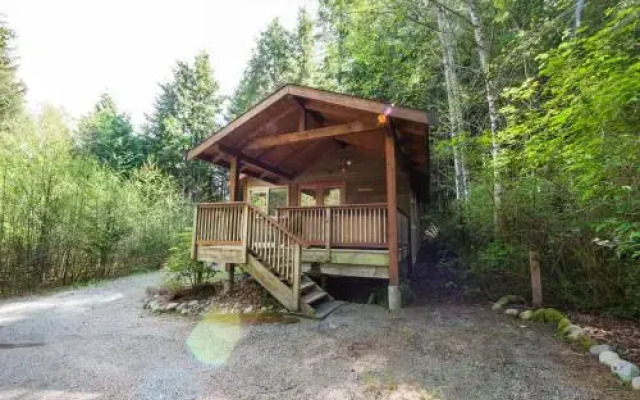 Evergreen Forest Cabins