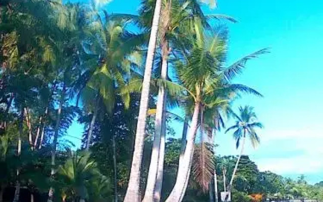 Casa Celeste Del Golfo Dulce