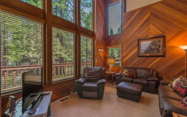 Wolf Tree by Red Awning