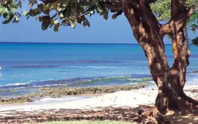Vacation Internationale Papakea