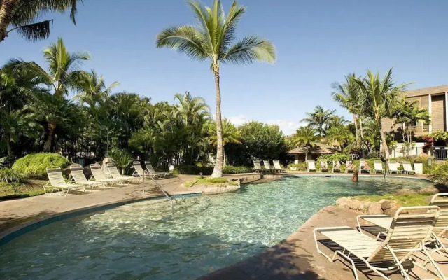 Maui Kamaole #M-105