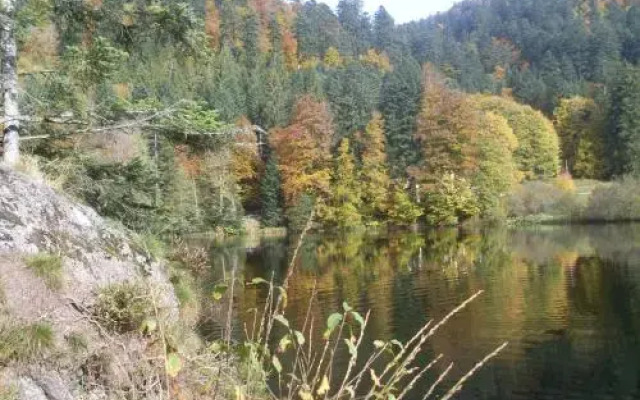 Chalet Retournemer