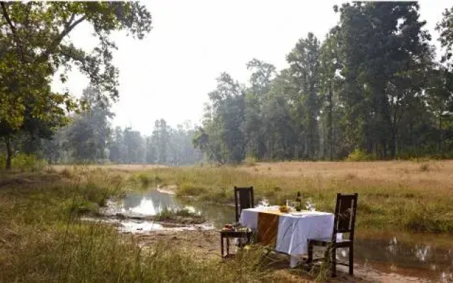 The Roaring Salvan County