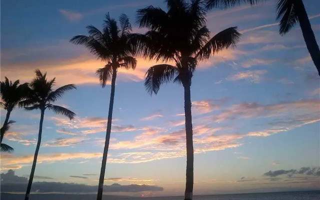 Paki Maui 224 by RedAwning