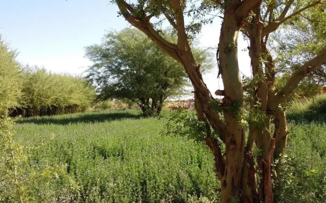 Cabañas el Chañar