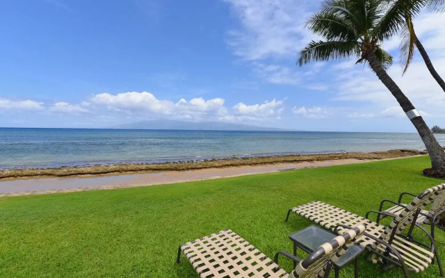 Paki Maui 415 by RedAwning