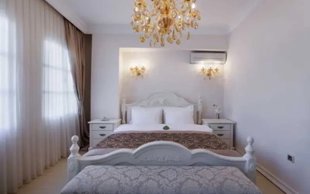 Elegance Dream