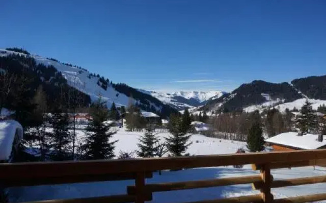 Ski Chalet Nomad