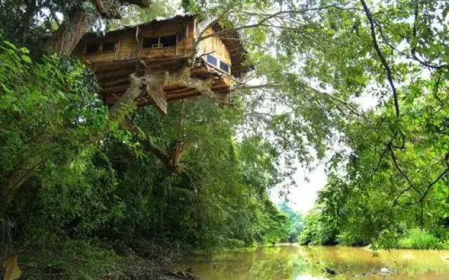 Kumbuk Tree House