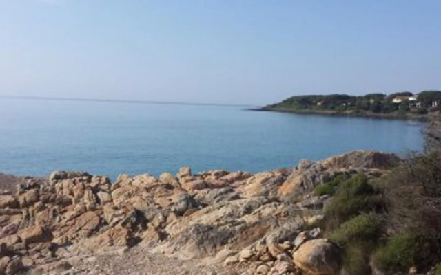 Giglio di Mare