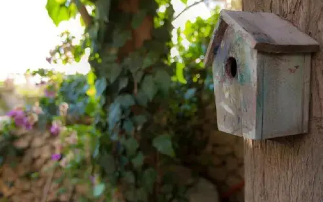 The Nest - A Romantic Vacation Home in Ein Kerem - Jerusalem