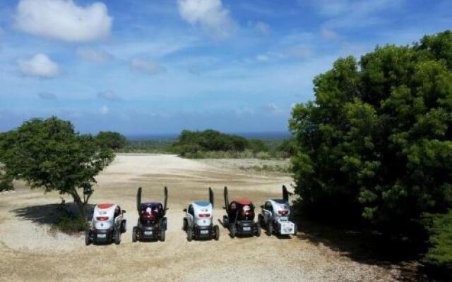 Roadrunner-Bonaire