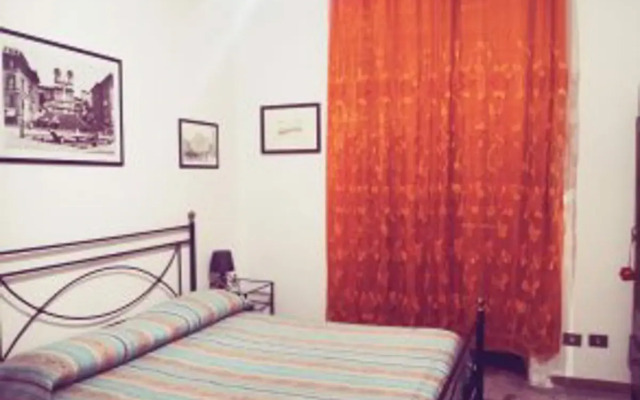 Stella's House
