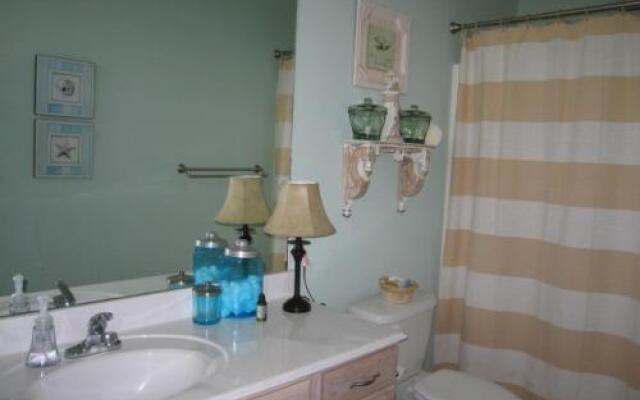 Turtle Cove by RedAwning