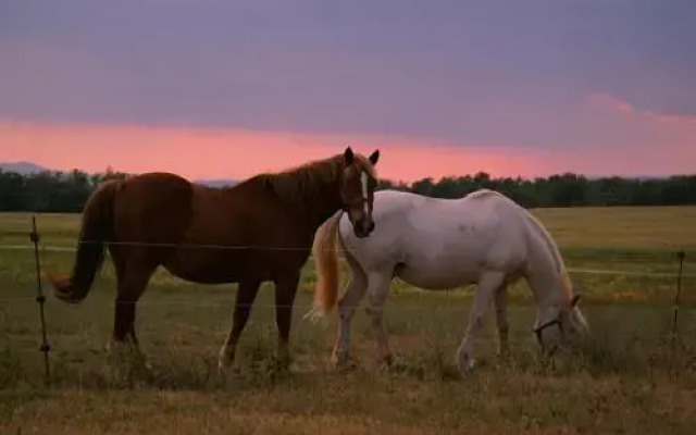 Les Gîtes De La Chérine