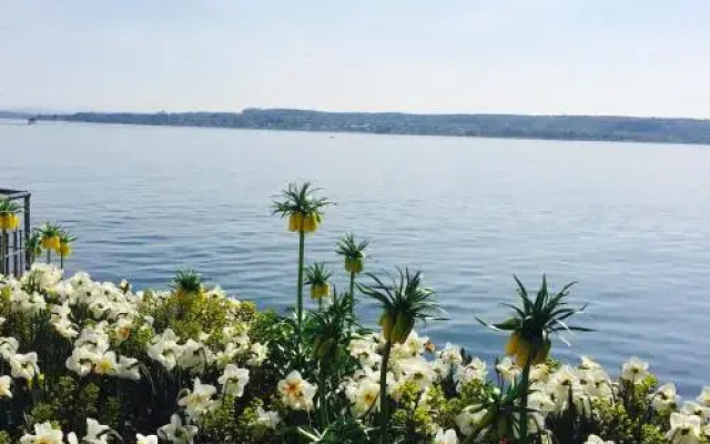 Ferienwohnung am Bodensee