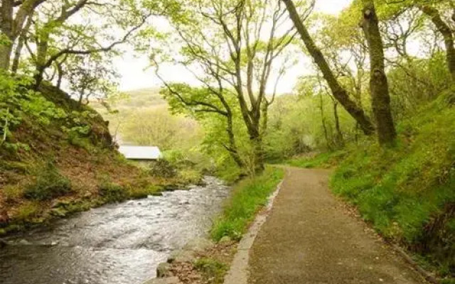 Dolgoch Falls