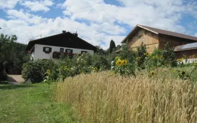 Haflingerhof