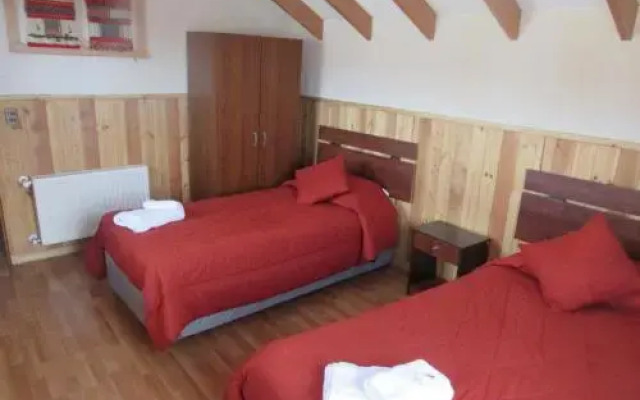 Hostal Alto Palguin Pucon