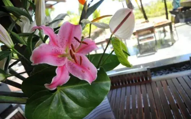 Villa Santara by Oazure 9-14 persons