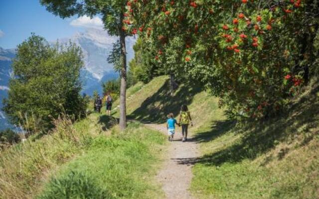 Mayen de l'Ours MOUNTAIN & CENTER apartments