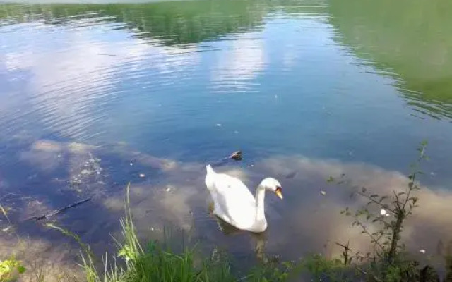 Maison Vacances Pieds Dans L'eau