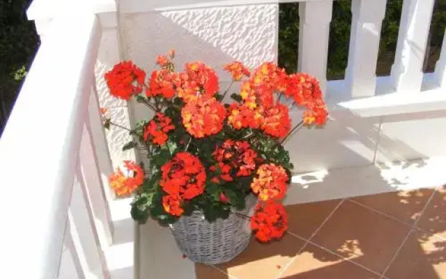 Guest house Villa Ana