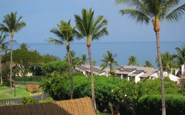 Maui Kamaole #J-221