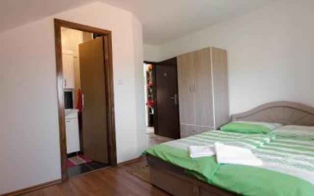 Guesthouse Vila Puzic