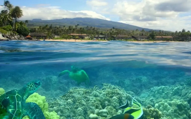 Kapalua Bay Villa 11G1