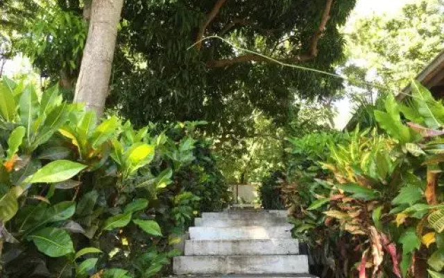 Paradiso Hostel