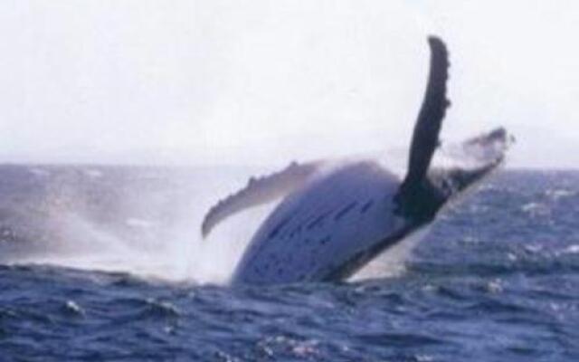 Hillcrest, 5/26 Government Road