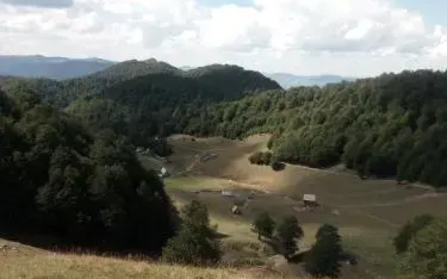 Eco Village Goles