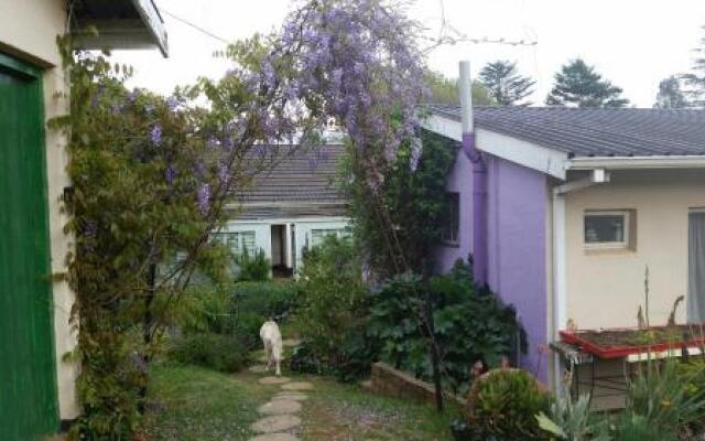 Wild Berry Guest Farm