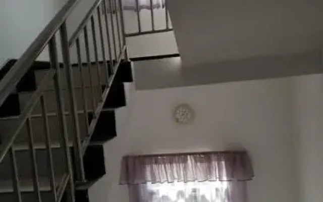 Swallow Home
