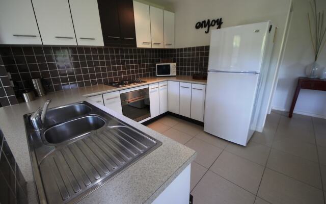 Geckos at South West Rocks