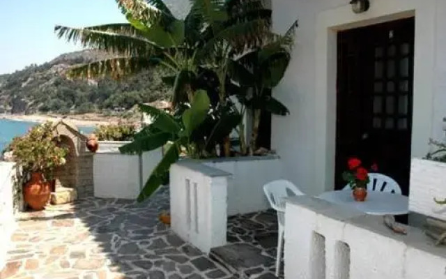 Alkioni Studios