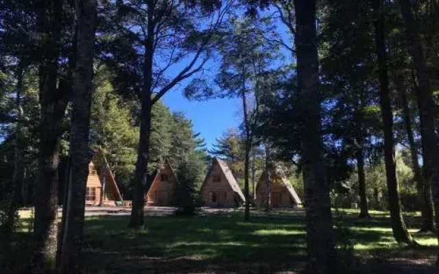 Cabañas Lautaro Pucon