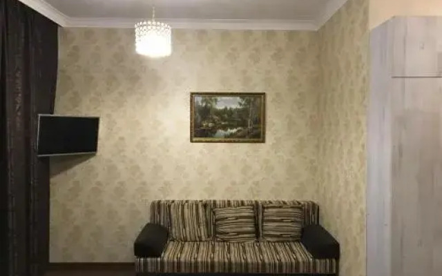Na Prosvescheniya Apartment