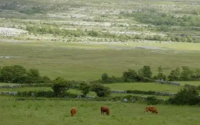 Clare's Rock Self-catering Accommodation