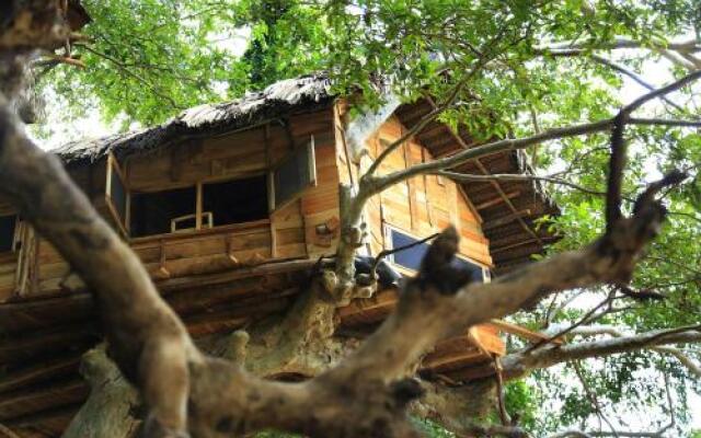 Kumbuk Tree House