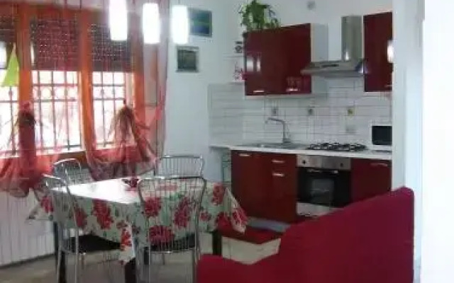 Casa Petunia