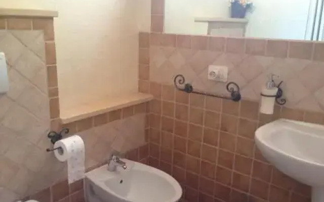B&B Chorisia