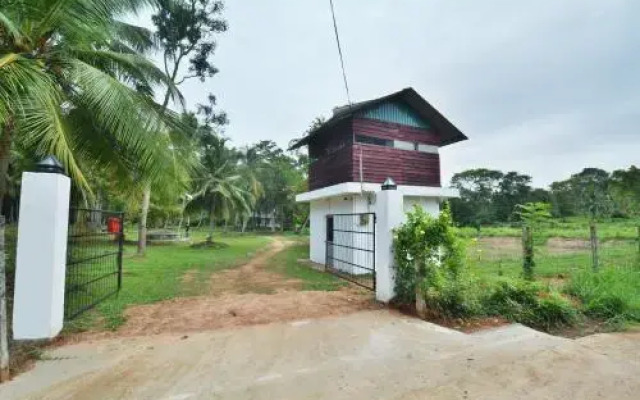 Paddy Field Bangalow