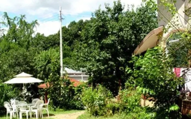 Greentopia pension