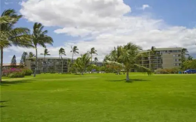Kauhale Makai 222 - 1 Br Condo